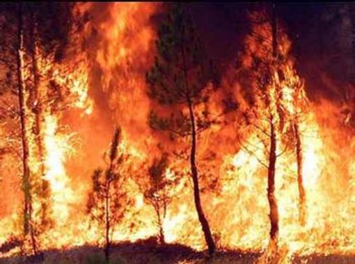 Scoppia un incendio a Gibilmanna: si prospetta una nuova estate di fuoco?