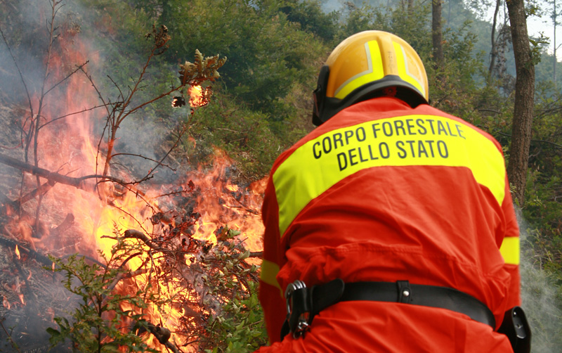 Mancato avvio antincendio forestali, il PD scrive una nota a Crocetta