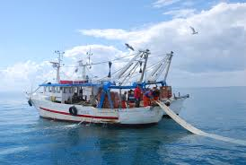 Destinati 2.027.495,00 euro allo sviluppo sostenibile delle zone di pesca