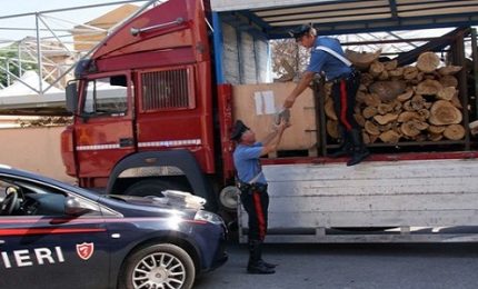 Trovati 100 chili di hashish a Castelbuono: un arresto