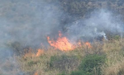 Incendi lungo l'autostrada, chiuso un tratto della Palermo-Catania