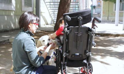 La storia di Francesca e di Light, il cane che assiste i disabili