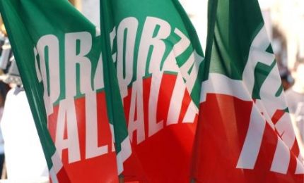 Forza Italia ci prova: partito ben strutturato per rappresentare il centrodestra