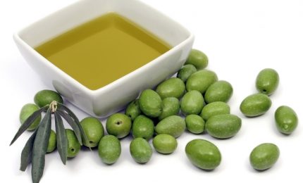 Sempre più scarsa la produzione di olio d'oliva in Sicilia