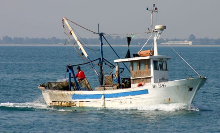 Maxi sequestro di oltre 250 chili di prodotti ittici
