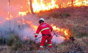 Antincendio, anche l'Ente Parco delle Madonie a sostegno dei Forestali