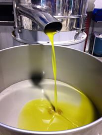 Olio di oliva "Sicilia" è marchio IGP