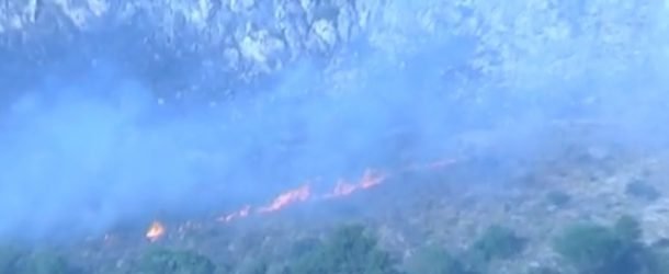 Incendio sul monte Solunto a Bagheria: in azione vigili del fuoco, forestali e canadair