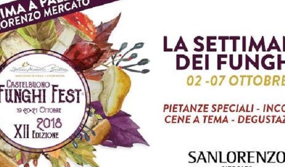 Castelbuono, Funghi Fest: il programma completo
