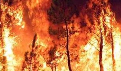 Protezione Civile, diramata allerta incendi: a rischio provincia Palermo per il weekend