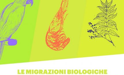 A Castelbuono una conferenza sulle Migrazioni biologiche