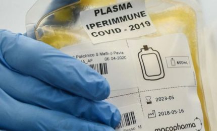 Covid: Figuccia (Lega), serve maggior impegno sulle donazioni di plasma iperimmune